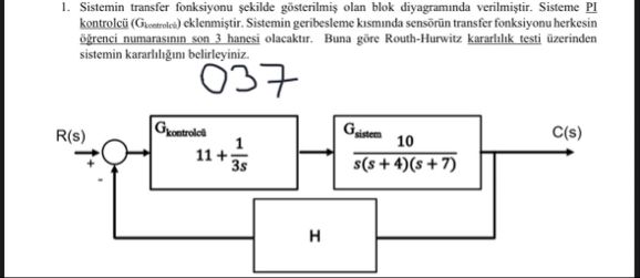 Uploaded Image